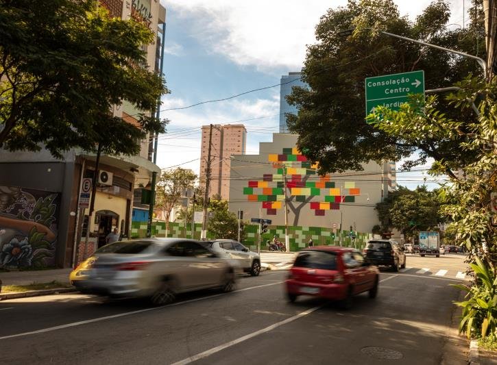 Foto 8 de 8
